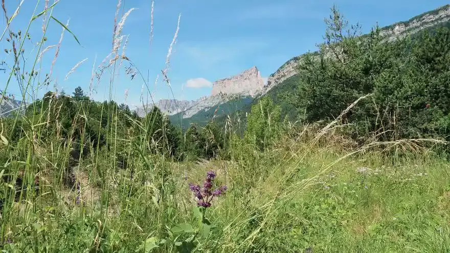 Paysage Drôme