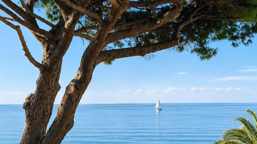 Vue sur la mer depuis la terrasse