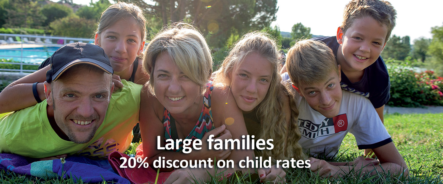 Large families