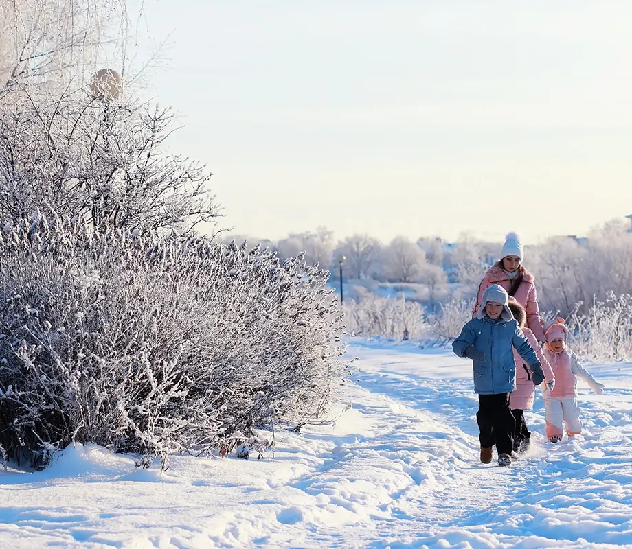 Bons plans VTF à chaque saison