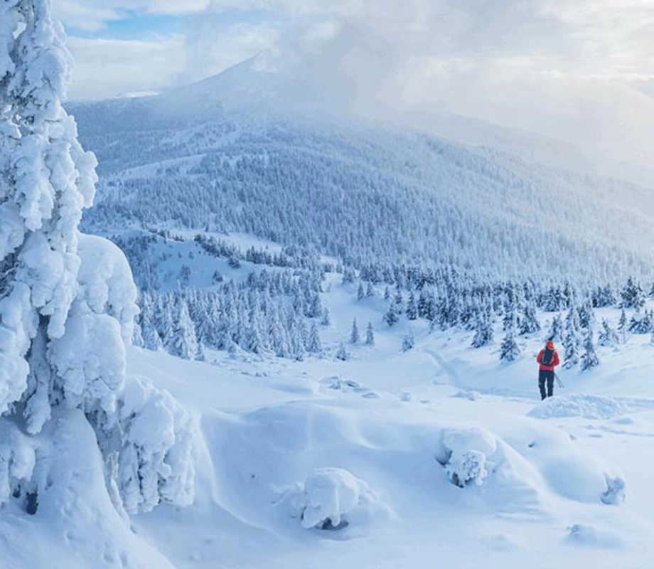Séjour Jours blancs